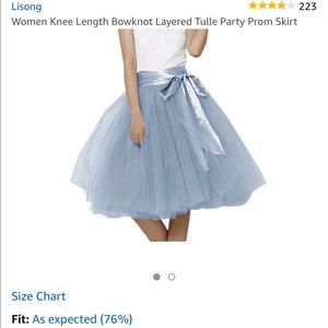 Blue Tulle Skirt with Sash
